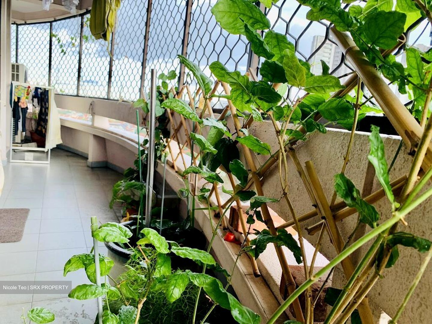 Hawaii Tower (D15), Condominium #503693921